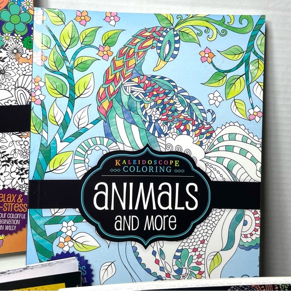 ADULT COLORING BOOK SET #6 - Picture 7 of 15